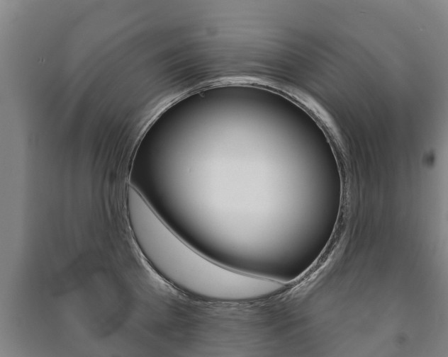X0000091460809200708161106