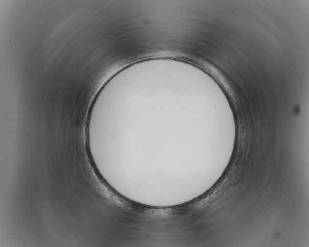 X0000091460810200708161106