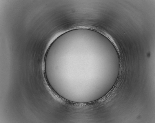 X0000091460811200708161106