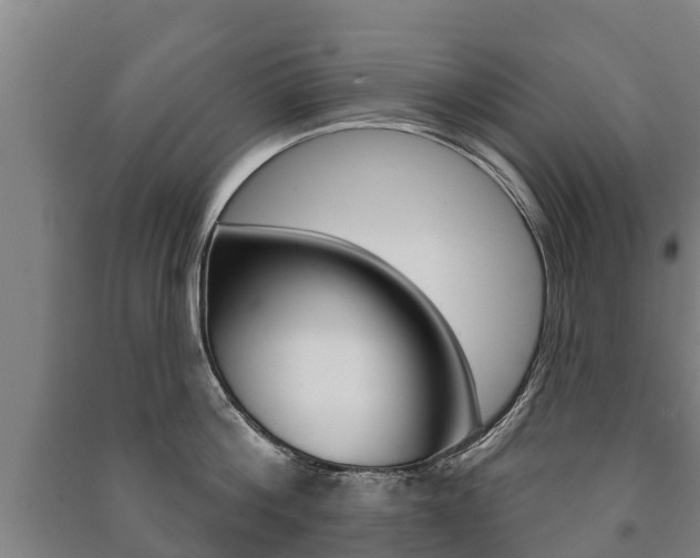 X0000091460812200708161106