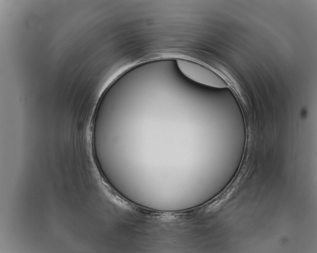 X0000091460814200708161106