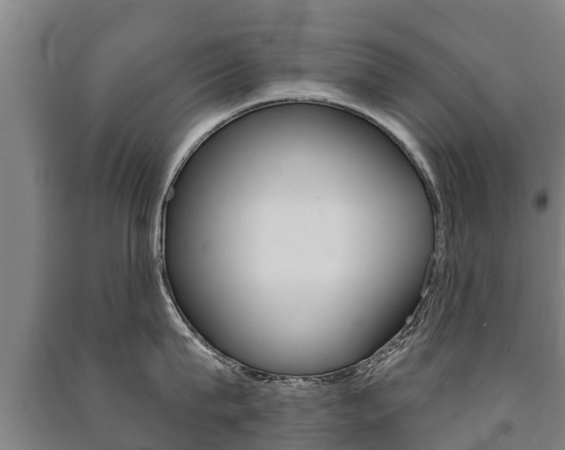 X0000091460815200708161106