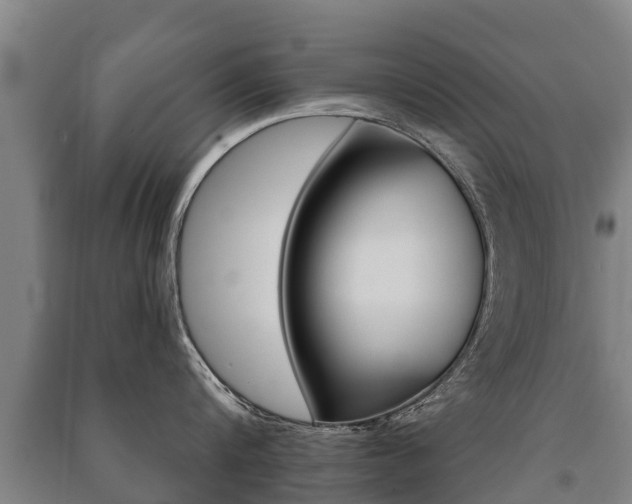 X0000091460816200708161106