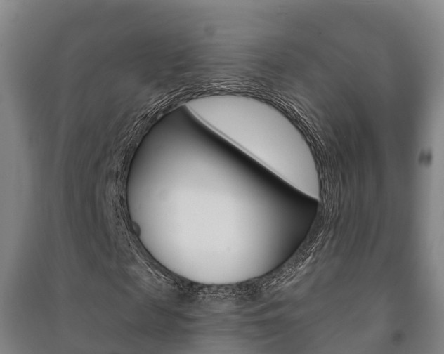 X0000091460817200708161105