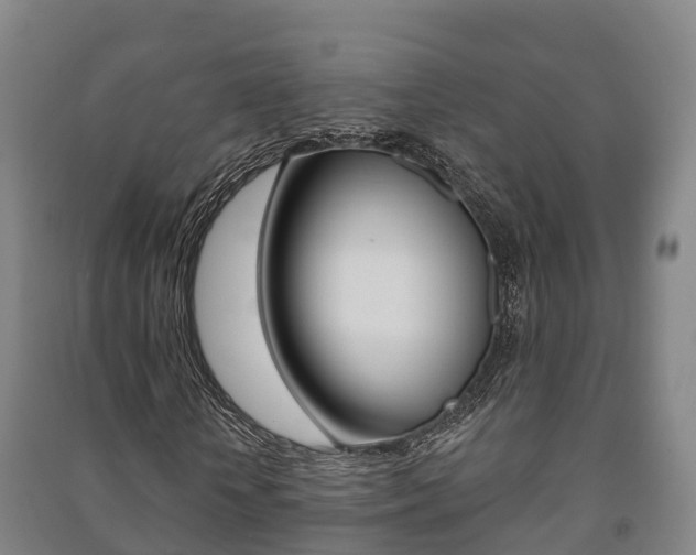 X0000091460818200708161105