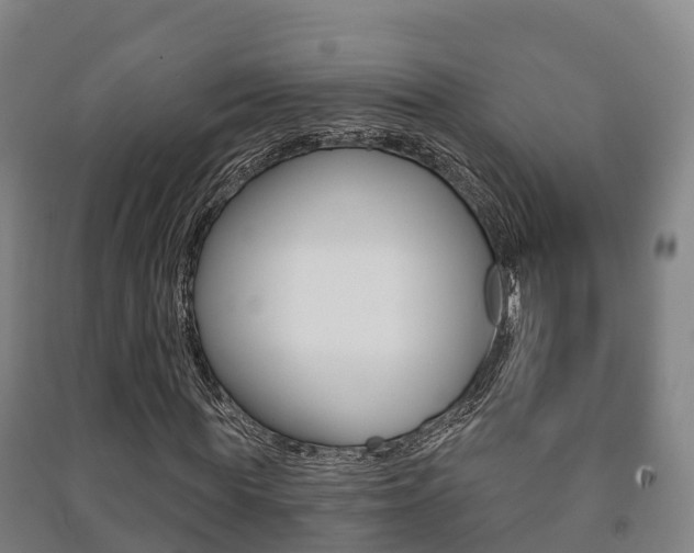 X0000091460819200708161105