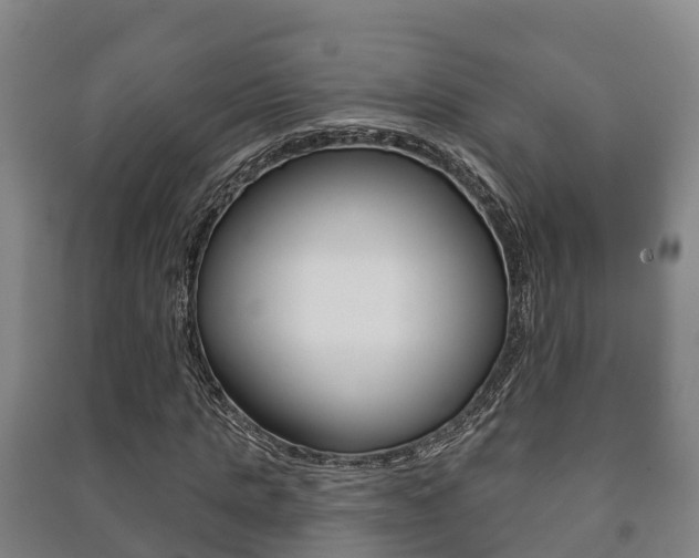 X0000091460821200708161105