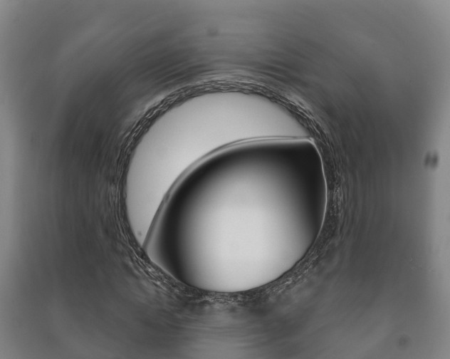 X0000091460822200708161105