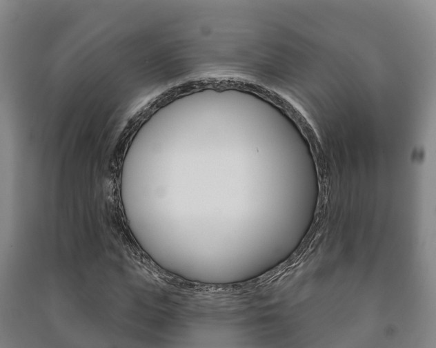 X0000091460823200708161105