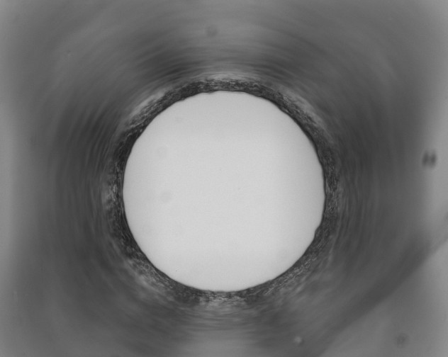 X0000091460824200708161105