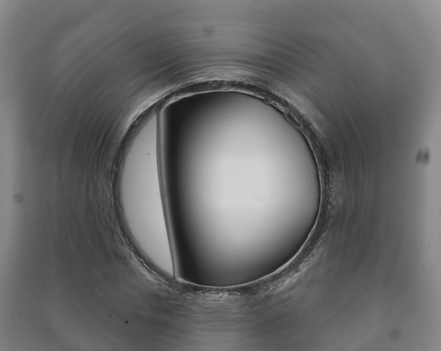 X0000091460826200708161105