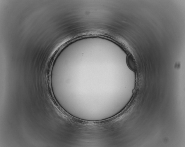 X0000091460827200708161105