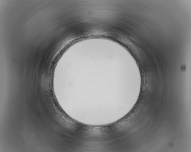 X0000091460828200708161105