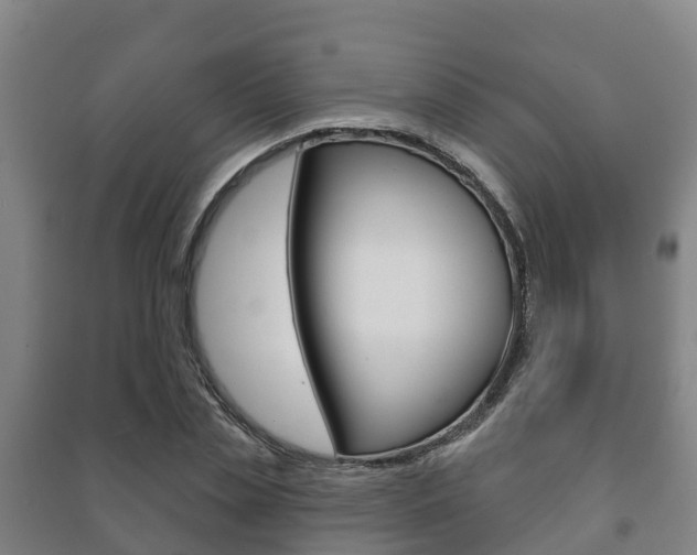 X0000091460829200708161105