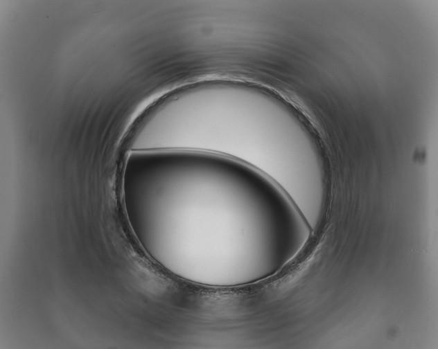 X0000091460830200708161105