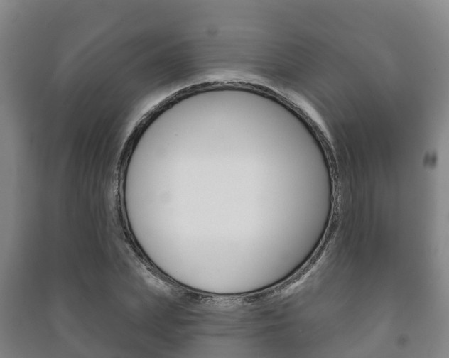 X0000091460831200708161105