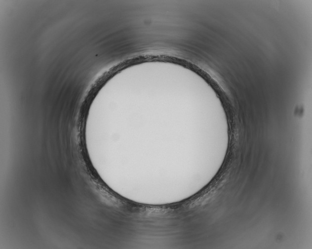 X0000091460832200708161105