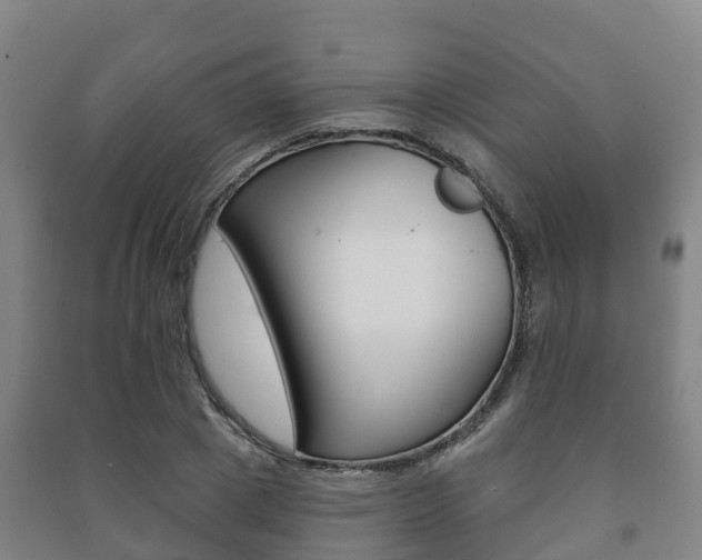 X0000091460833200708161105
