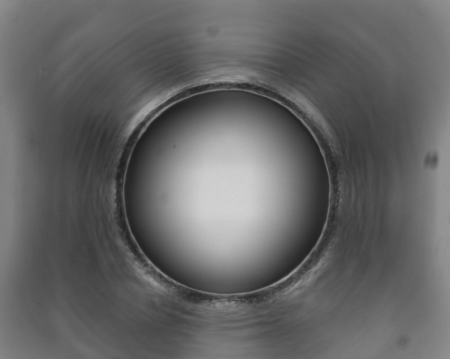 X0000091460834200708161105