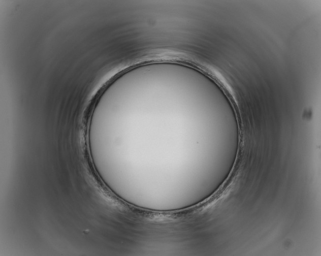 X0000091460835200708161105