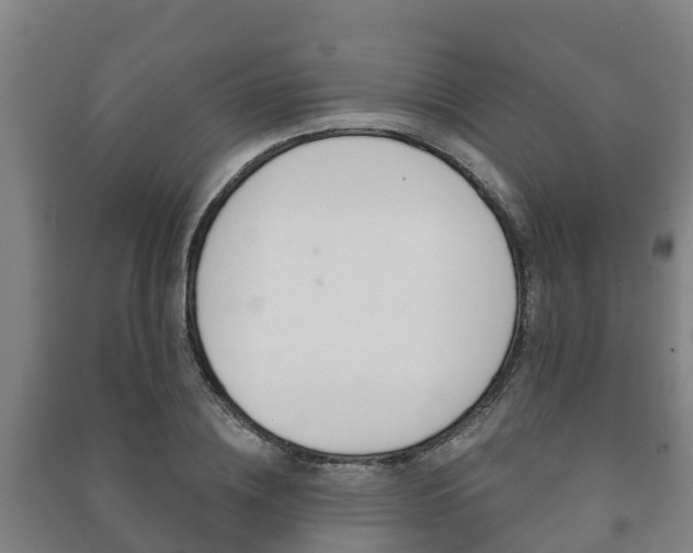 X0000091460836200708161105