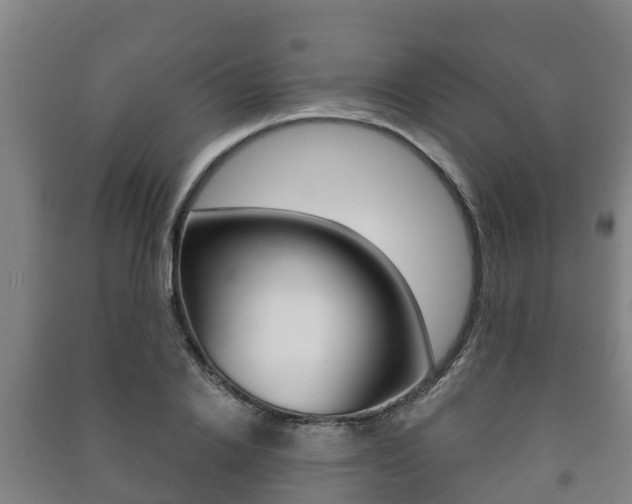 X0000091460838200708161105