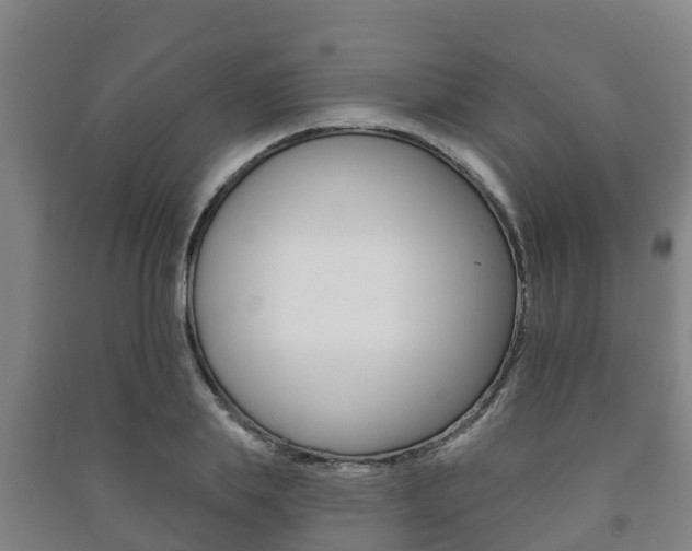 X0000091460839200708161105