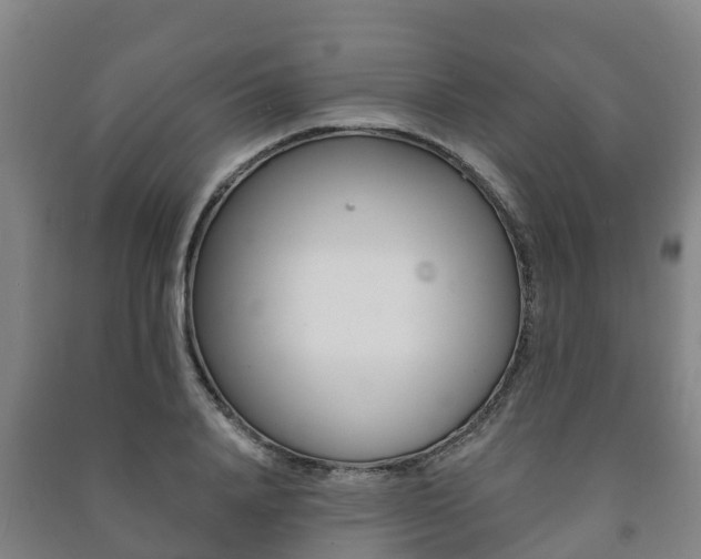 X0000091460840200708161105