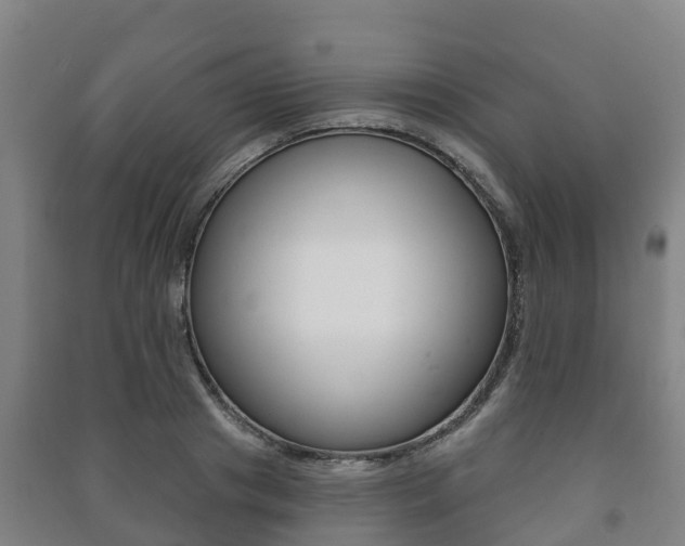 X0000091460841200708161105