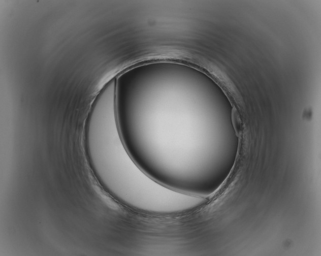 X0000091460842200708161105