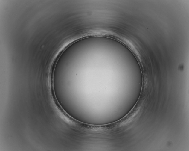 X0000091460843200708161105