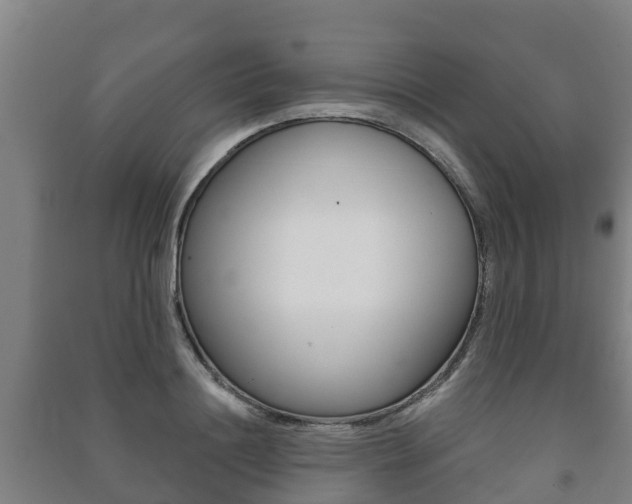 X0000091460844200708161105