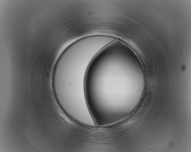 X0000091460846200708161105