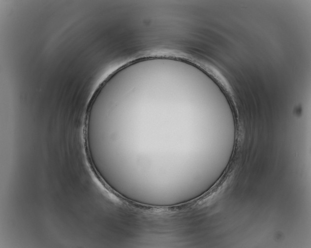 X0000091460847200708161105