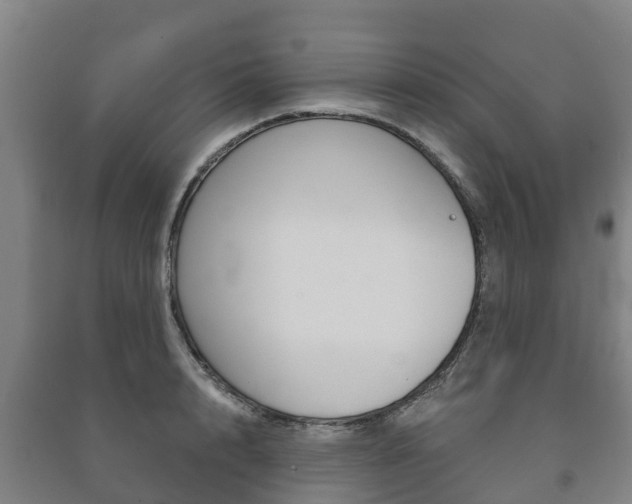 X0000091460848200708161105