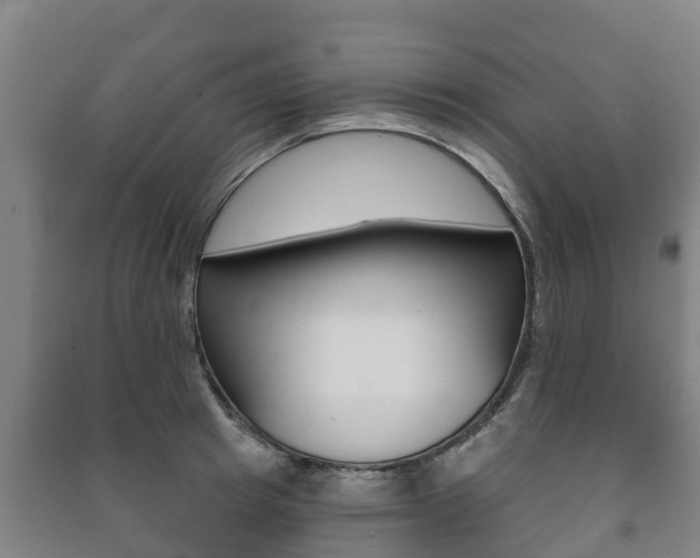 X0000091460849200708161105