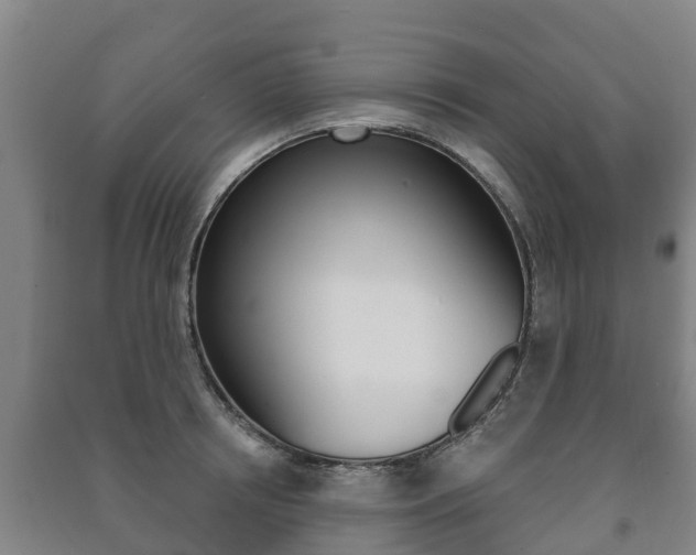 X0000091460850200708161105