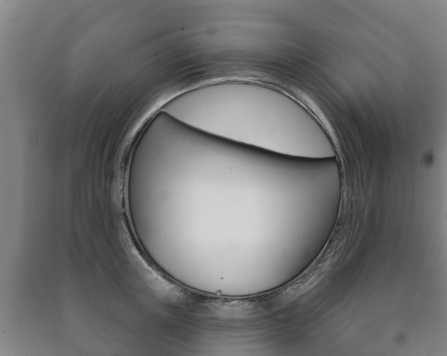 X0000091460851200708161105