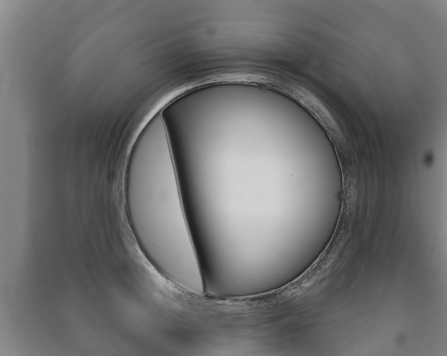X0000091460852200708161105