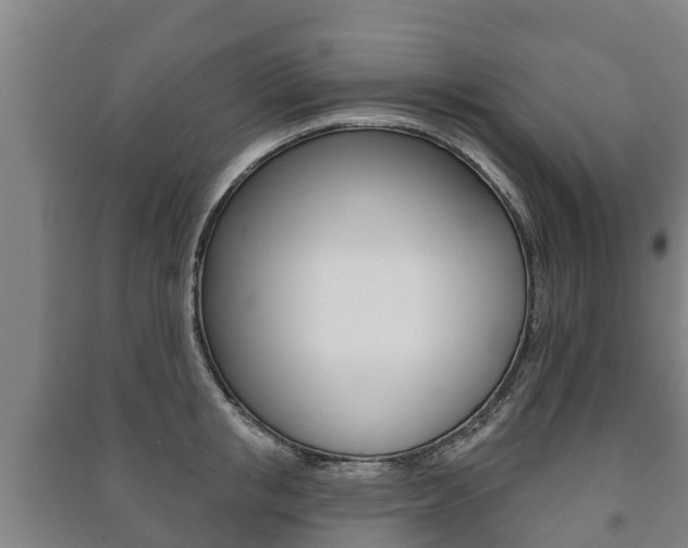 X0000091460853200708161105