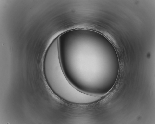 X0000091460854200708161105