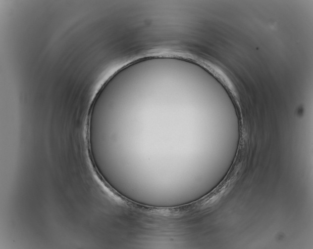 X0000091460855200708161105