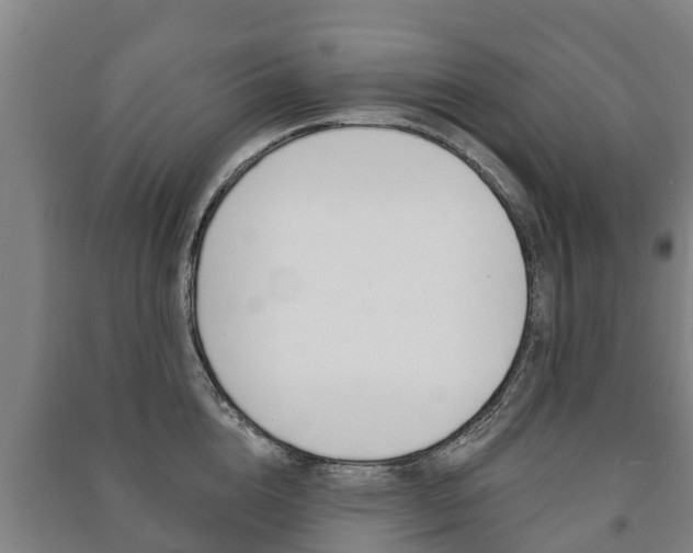 X0000091460856200708161105