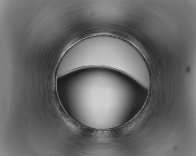 X0000091460858200708161105