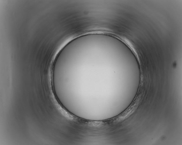 X0000091460859200708161105
