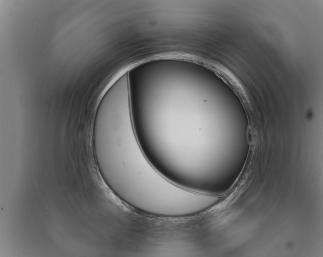 X0000091460860200708161105