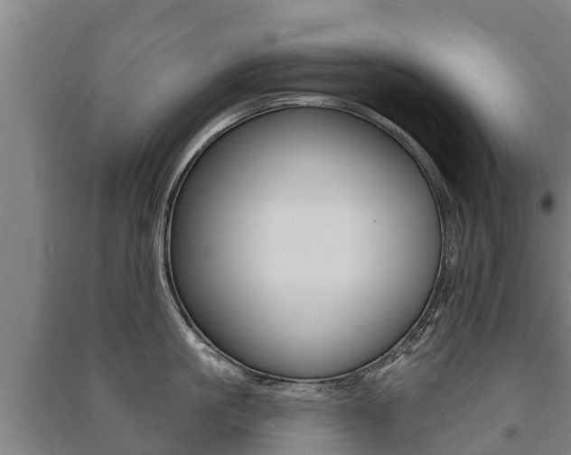 X0000091460861200708161105