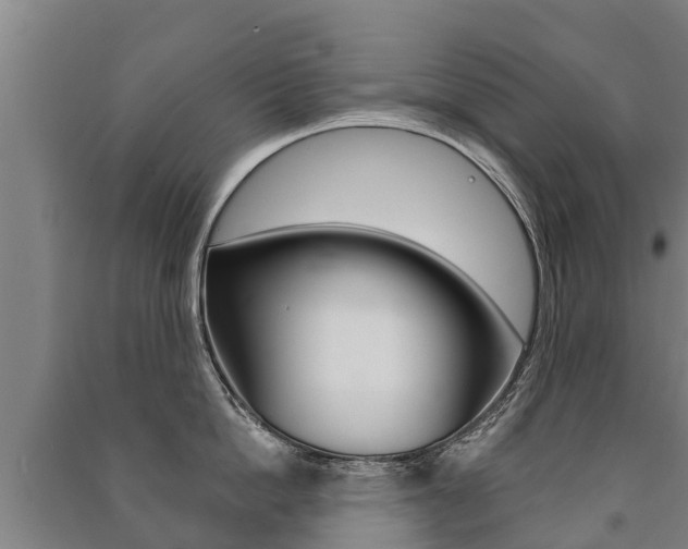 X0000091460862200708161105