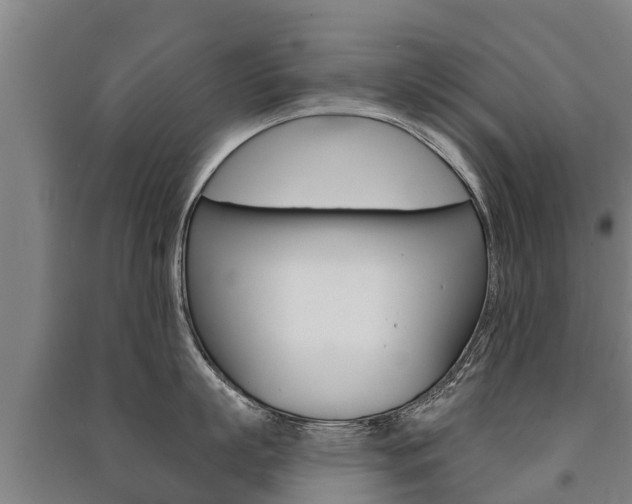 X0000091460863200708161105
