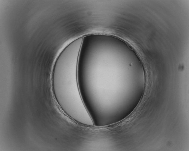 X0000091460864200708161106